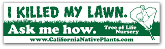 killed lawn bumper sticker