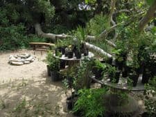 abe plants setup