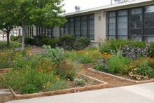Concordia school garden planters, photo: Kris Ethington