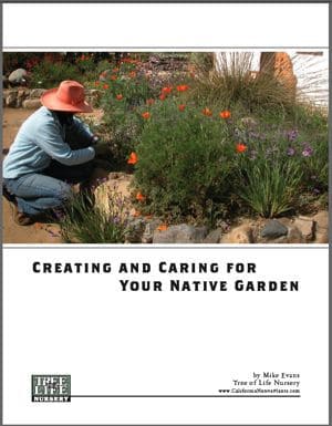 Creating and Caring for your Native Garden