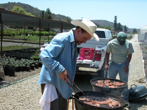 Customer Appreciation BBQ