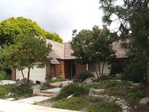 Carlsbad Native Garden,  Design by Dave Buchanon