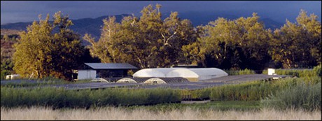 View of Tree of Life Nursery