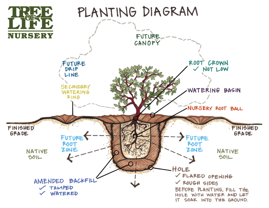 planting-guide/download