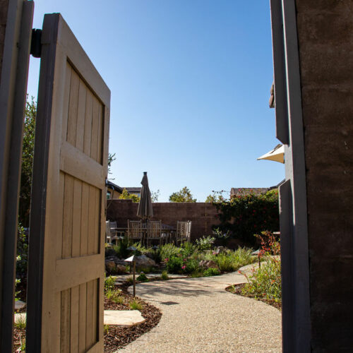 Welcome to your new native CA garden.